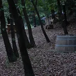 Il Ciabot Dei Minini Murialdo