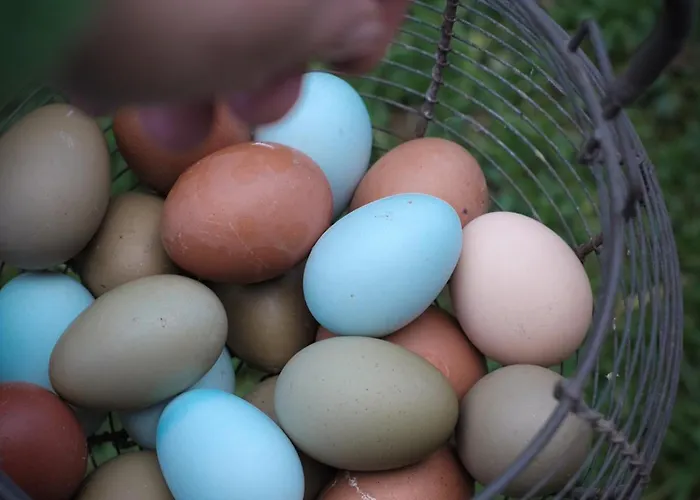 Il Ciabot Dei Minini Сasa de vacaciones Murialdo