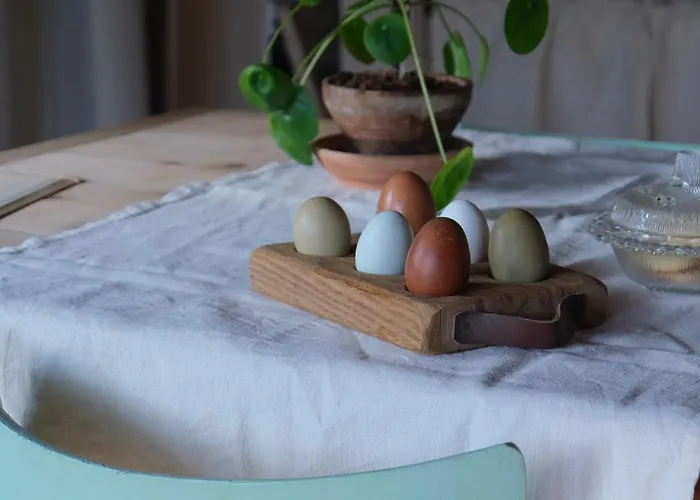 Il Ciabot Dei Minini *